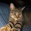 tabithamagnon